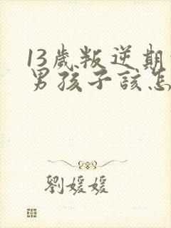 13岁叛逆期的男孩子该怎样去沟通教育