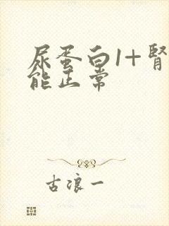 尿蛋白1+肾功能正常