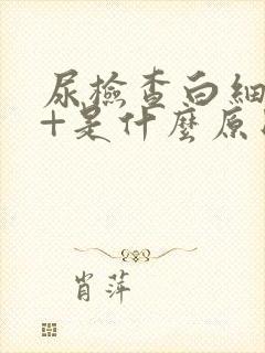 尿检查白细胞2+是什么原因