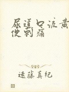 尿道口流黄脓小便刺痛