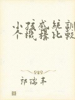 小孩感统训练哪个机构比较好