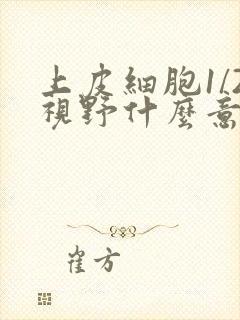 上皮细胞1/2视野什么意思