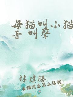 母猫叫小猫的声音 叫声