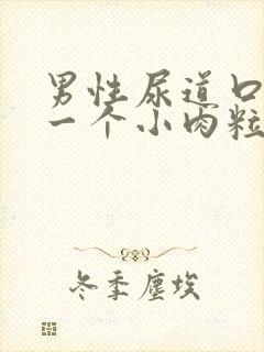 男性尿道口长了一个小肉粒