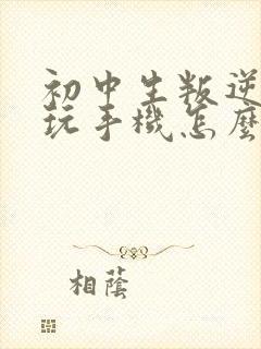 初中生叛逆期爱玩手机怎么沟通