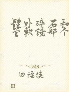 体外碎石和输尿管软镜哪个损害大