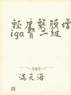 轻度系膜增生性iga肾二级