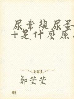 尿常规尿蛋白1+是什么原因