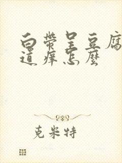 白带呈豆腐渣阴道痒怎么