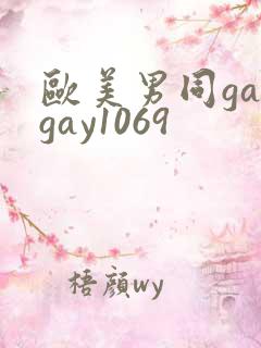 欧美男同gaygay1069