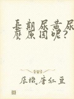 长期尿黄尿是什么原因呢?