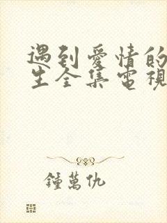 遇到爱情的利先生全集电视剧