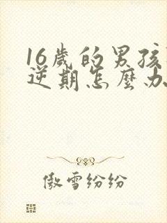 16岁的男孩叛逆期怎么办