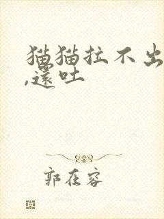 猫猫拉不出屎尿,还吐