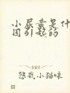 小尿黄是什么原因引起的