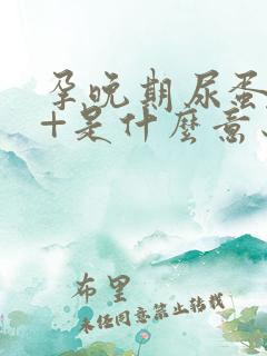 孕晚期尿蛋白1+是什么意思严重吗