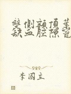 双侧额顶叶散在缺血腔隙灶