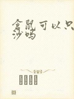 仓鼠可以只铺尿沙吗