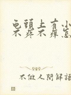 龟头上有小疙瘩不疼不痒怎么回事