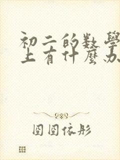 初二的数学跟不上有什么办法补救