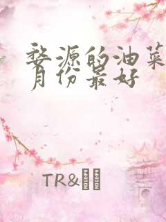 婺源的油菜花几月份最好