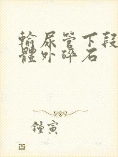 输尿管下段结石体外碎石