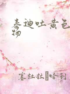 泰迪吐黄色粘稠物