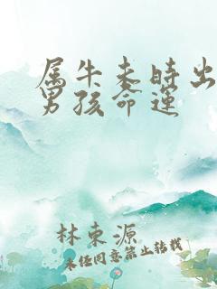 属牛未时出生的男孩命运