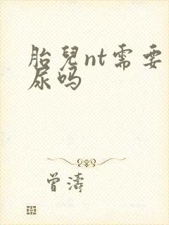 胎儿nt需要憋尿吗