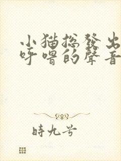 小猫总发出呼噜呼噜的声音怎么回事