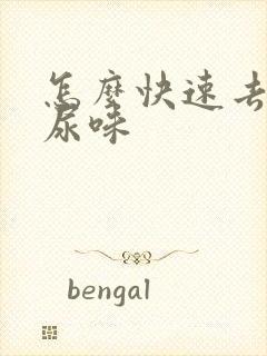 怎么快速去除猫尿味