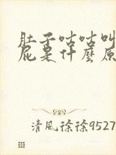 肚子咕咕叫还放屁是什么原因