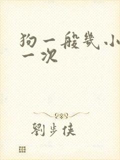 狗一般几小时尿一次