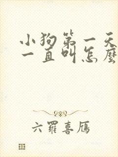 小狗第一天到家一直叫怎么办