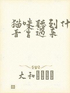 猫咪听到什么声音会过来