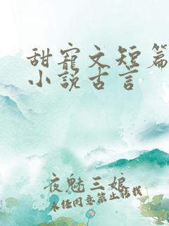 甜宠文短篇完结小说古言