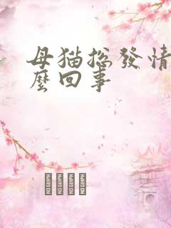 母猫总发情是怎么回事