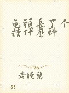 龟头长了个疙瘩挂什么科