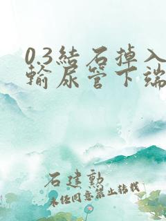 0.3结石掉入输尿管下端能排出不