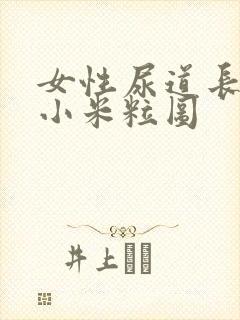 女性尿道长小肉小米粒图