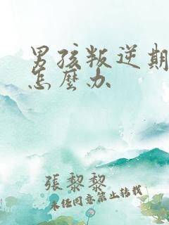 男孩叛逆期厌学怎么办