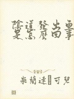 阴道发出鱼腥味是怎么回事