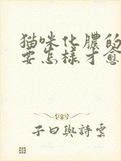 猫咪化脓的伤口要怎样才愈合的快