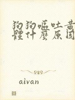 狗狗呕吐黄色液体什么原因