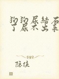 狗狗尿结石堵住了尿不出来怎么办