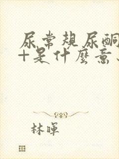 尿常规尿酮体1+是什么意思