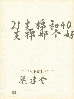 21支棉和40支棉哪个好