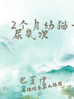 2个月幼猫一天尿几次