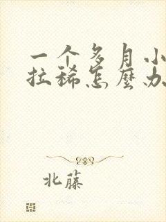 一个多月小泰迪拉稀怎么办