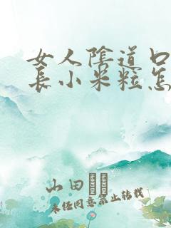 女人阴道口内侧长小米粒怎么回事